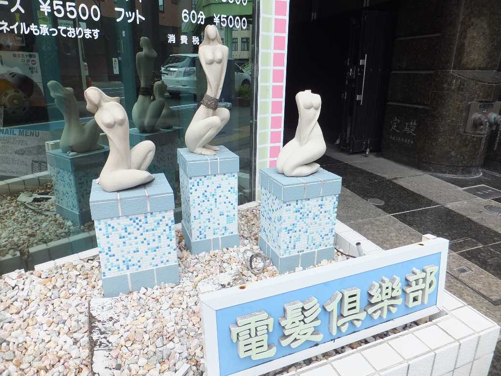 イメージ 6