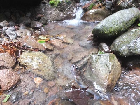 DSCF9949