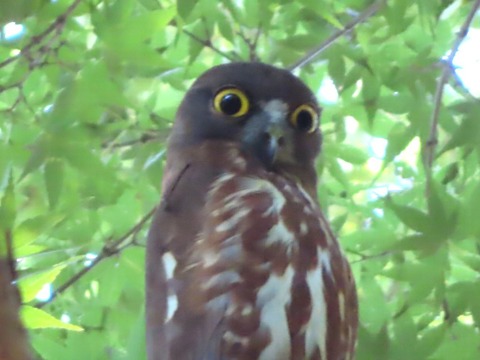 IMG_2165