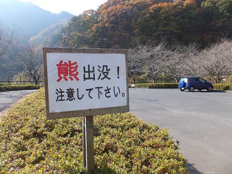 DSCF2160