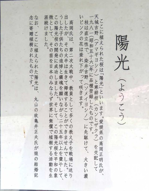 賀茂神社