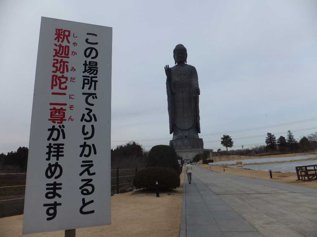 イメージ 10