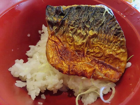 IMG_4730 - コピー