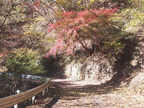 DSCF2166