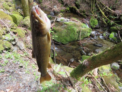 IMG_3138