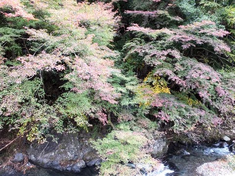 DSCF1298