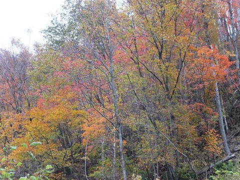DSCF1287
