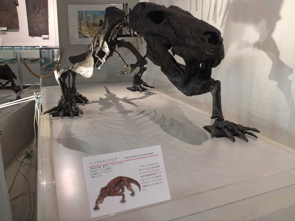 祝 佐野市葛生化石館２０万人突破 渓流釣りと食べ歩き桐生岩魚のブログ