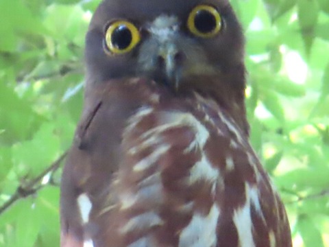 IMG_2166