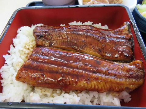IMG_7961