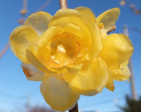 DSCF2671