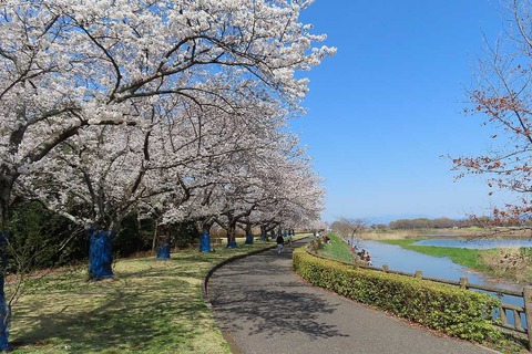 1IMG_8371