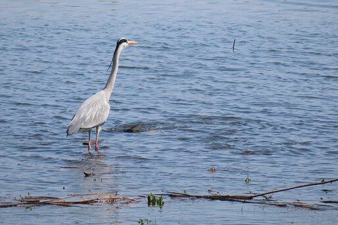 IMG_8355