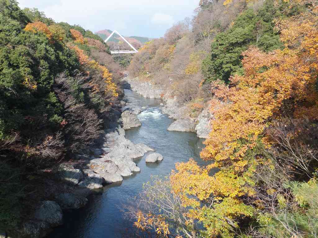 高津戸峡の紅葉 渓流釣りと食べ歩き桐生岩魚のブログ