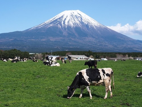 朝霧高原 練馬チャプターツーリング