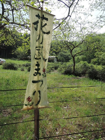 DSCN7247