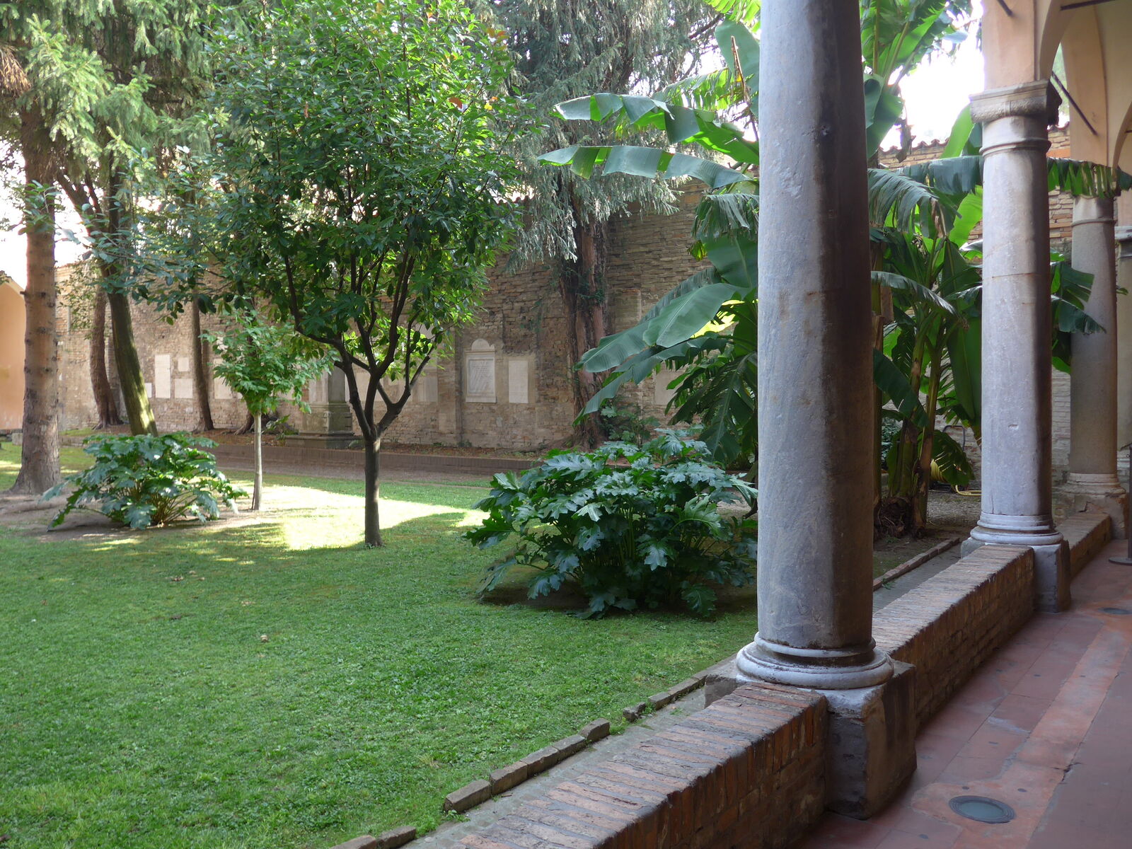 P2530646