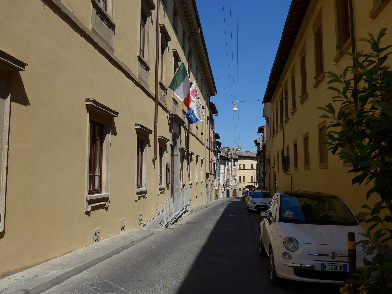 P2310194