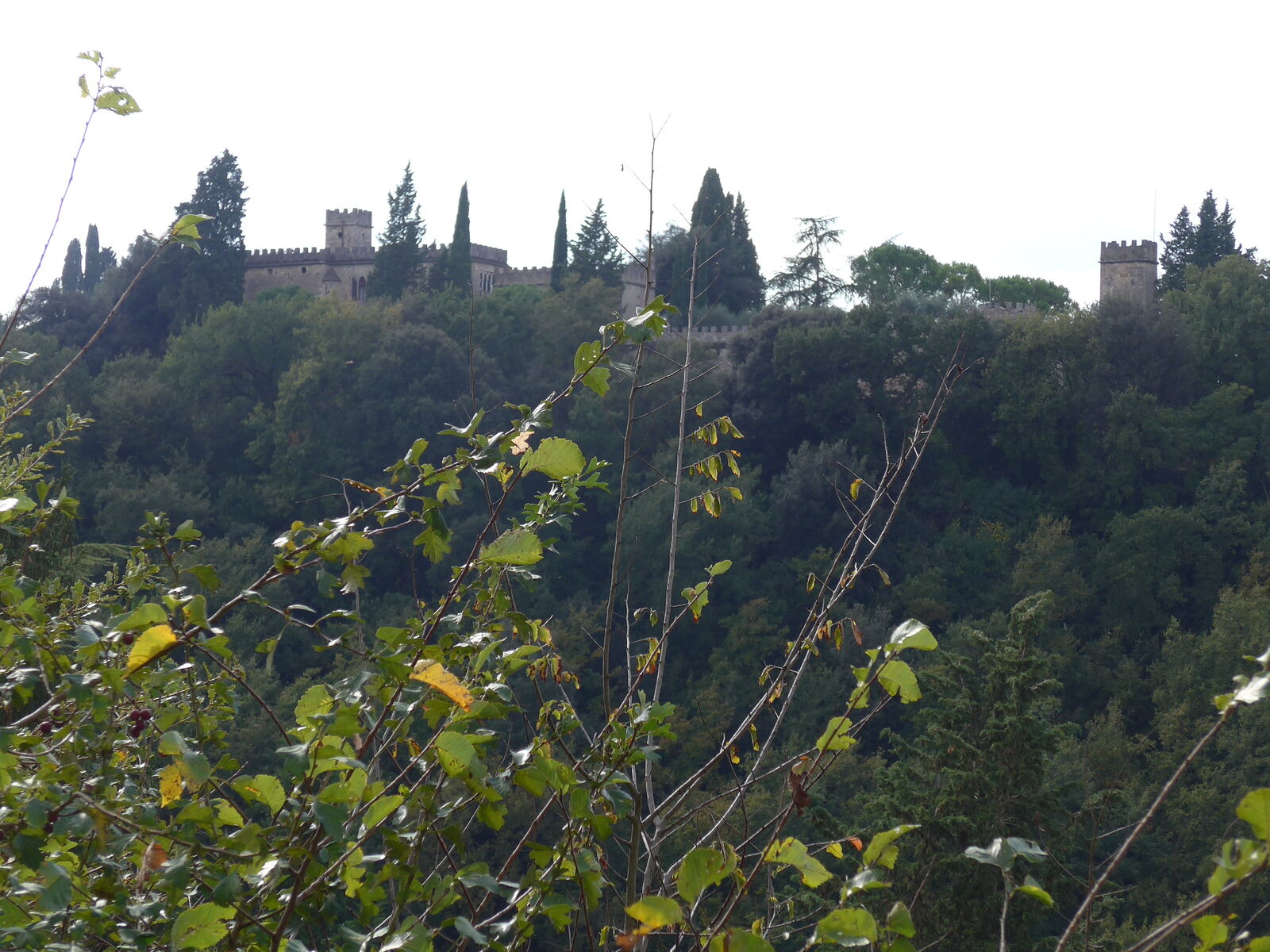 P1430709