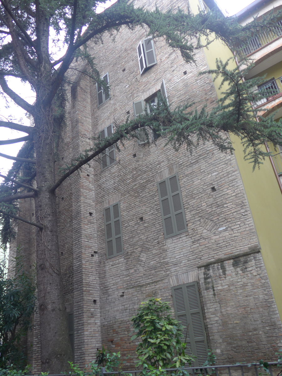 P1090607
