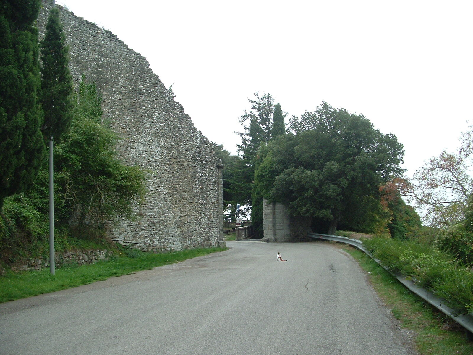 p1048