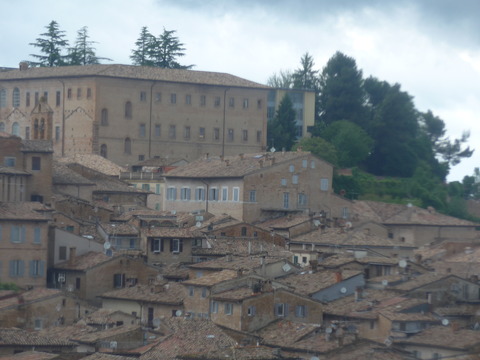 P2060982
