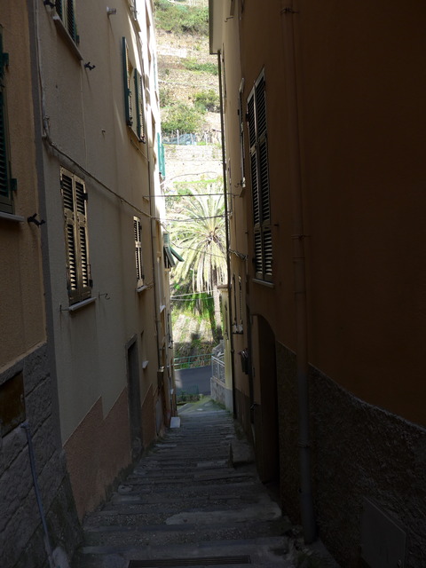 P1860965