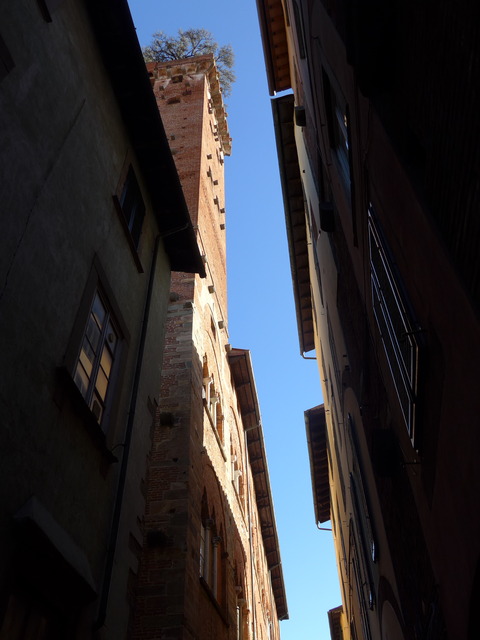 P1830775