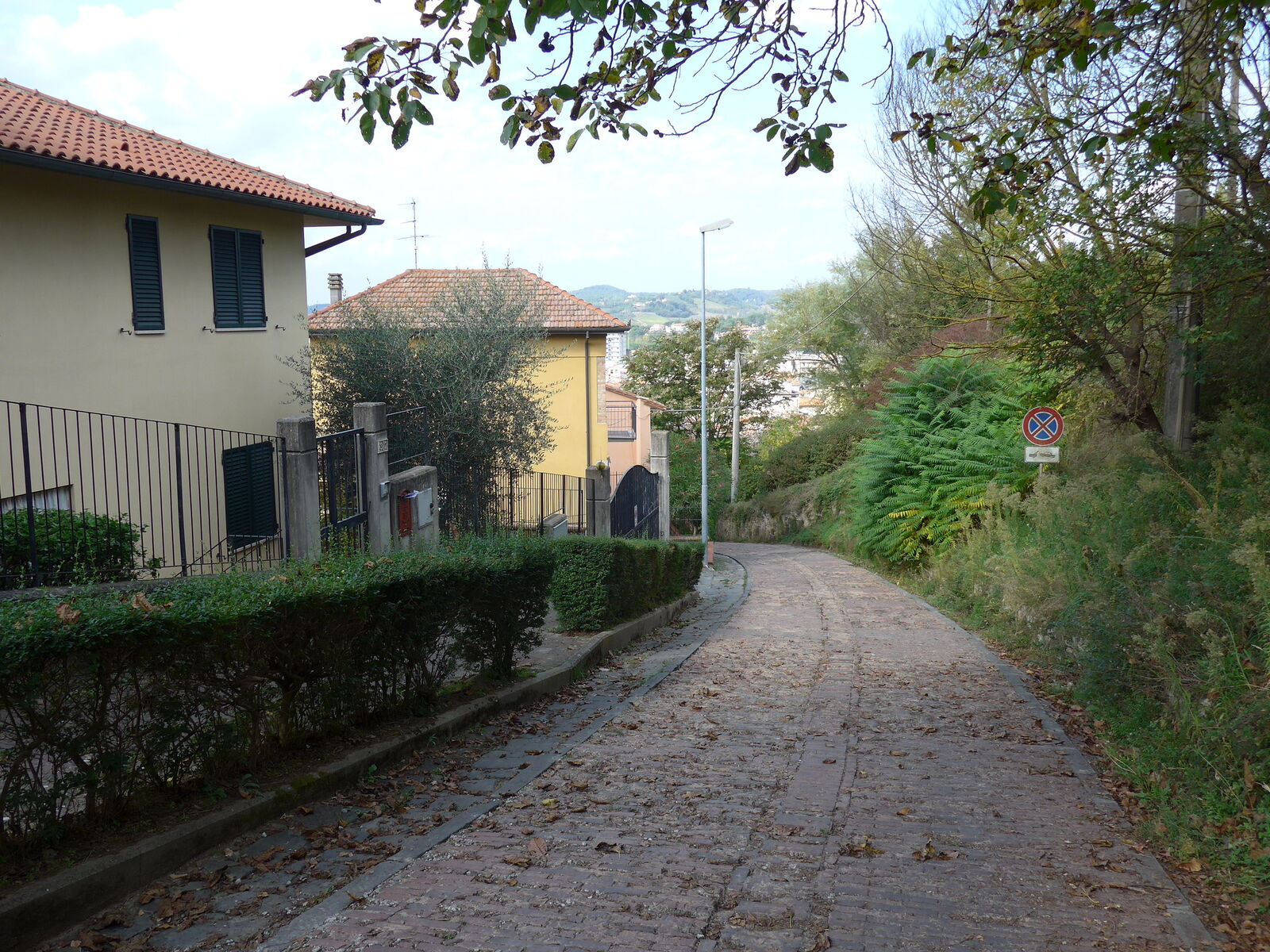 P1430710