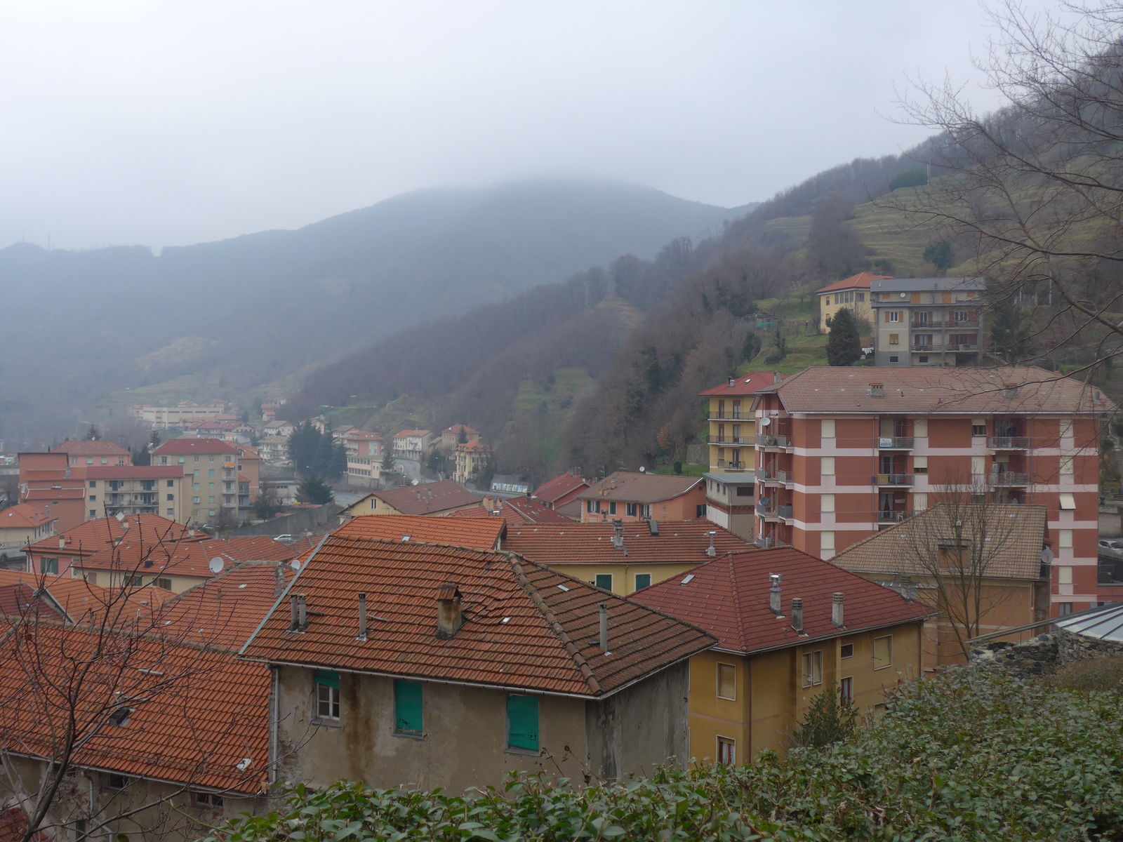 P1890806