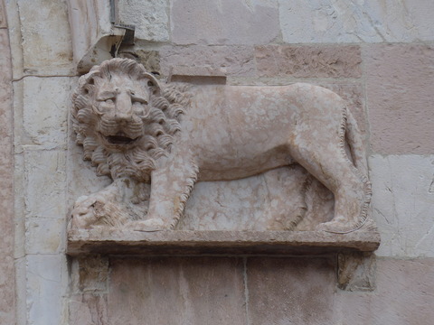 P1700517