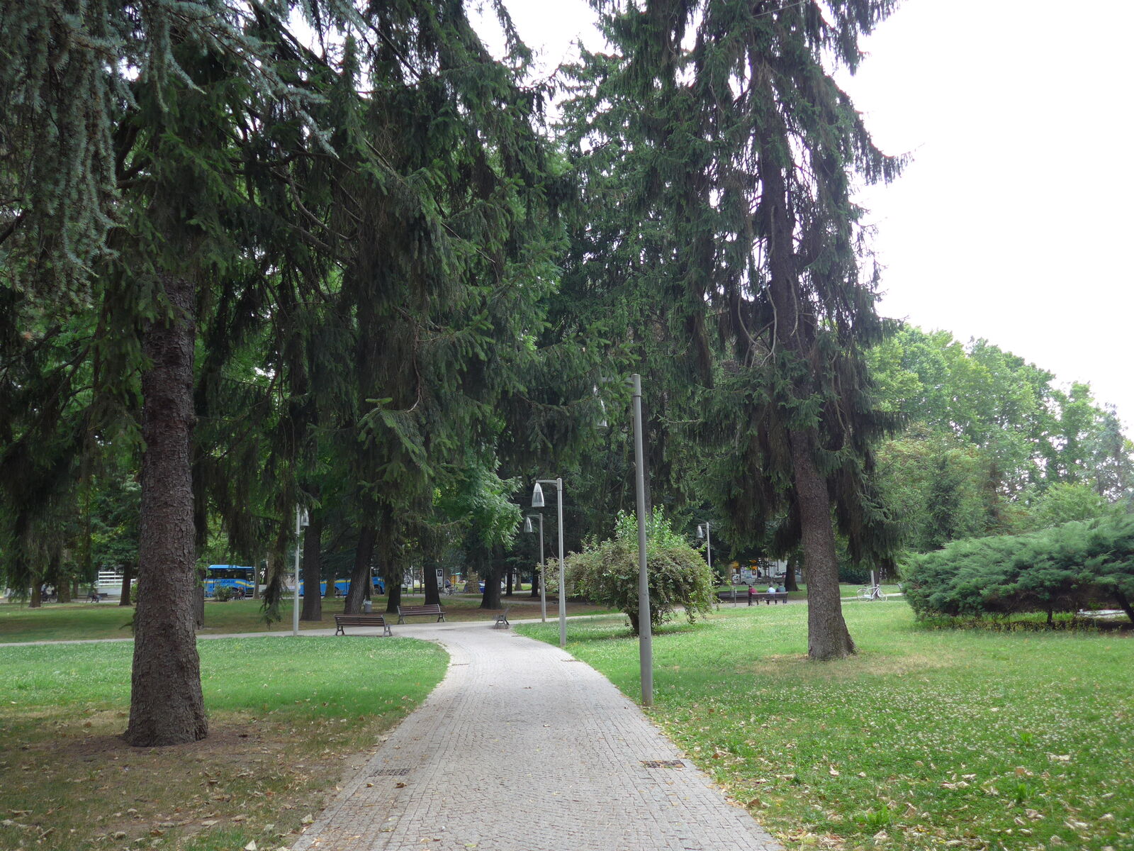 P1270224