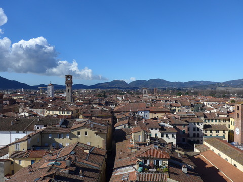 P1830781