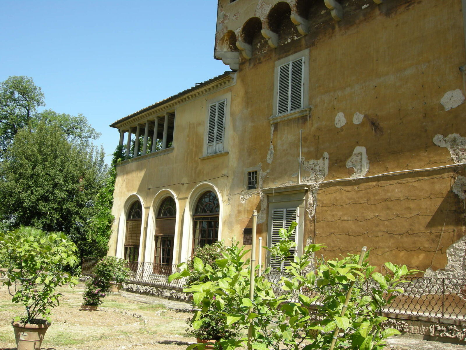 7