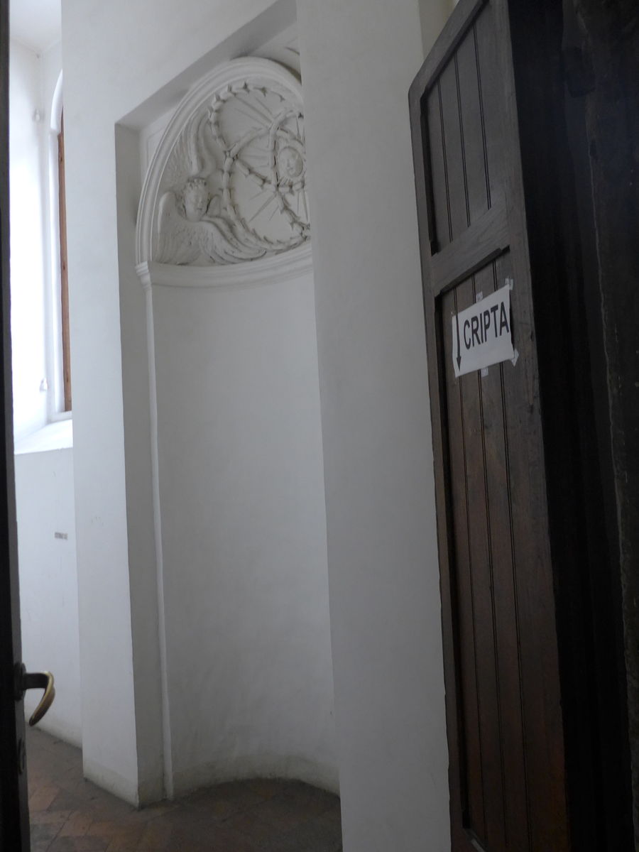 P1560446