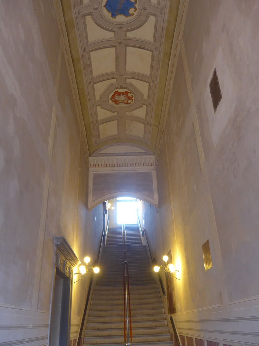 P2320803