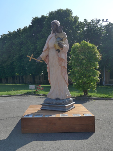 P2020491