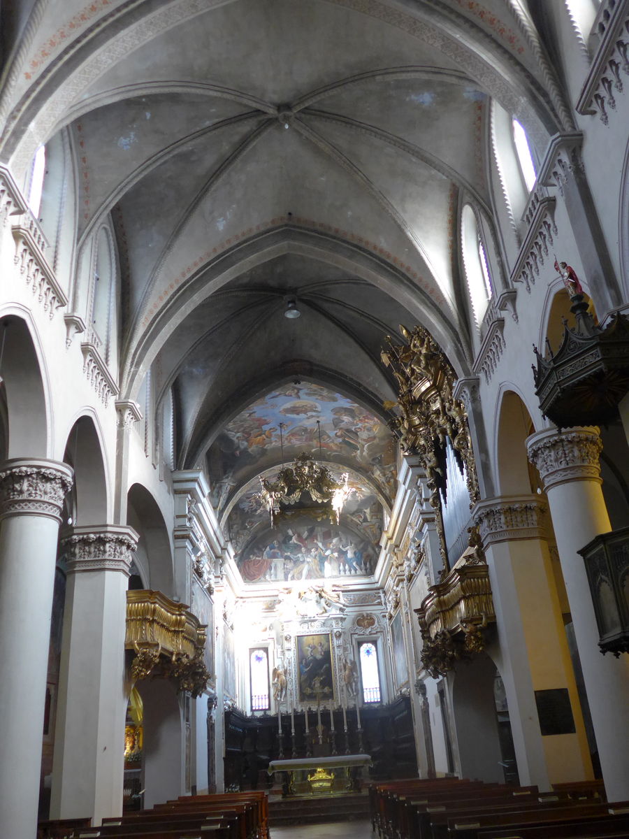 P1070491