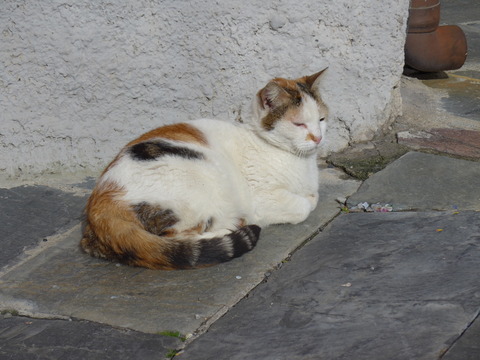 P1860953