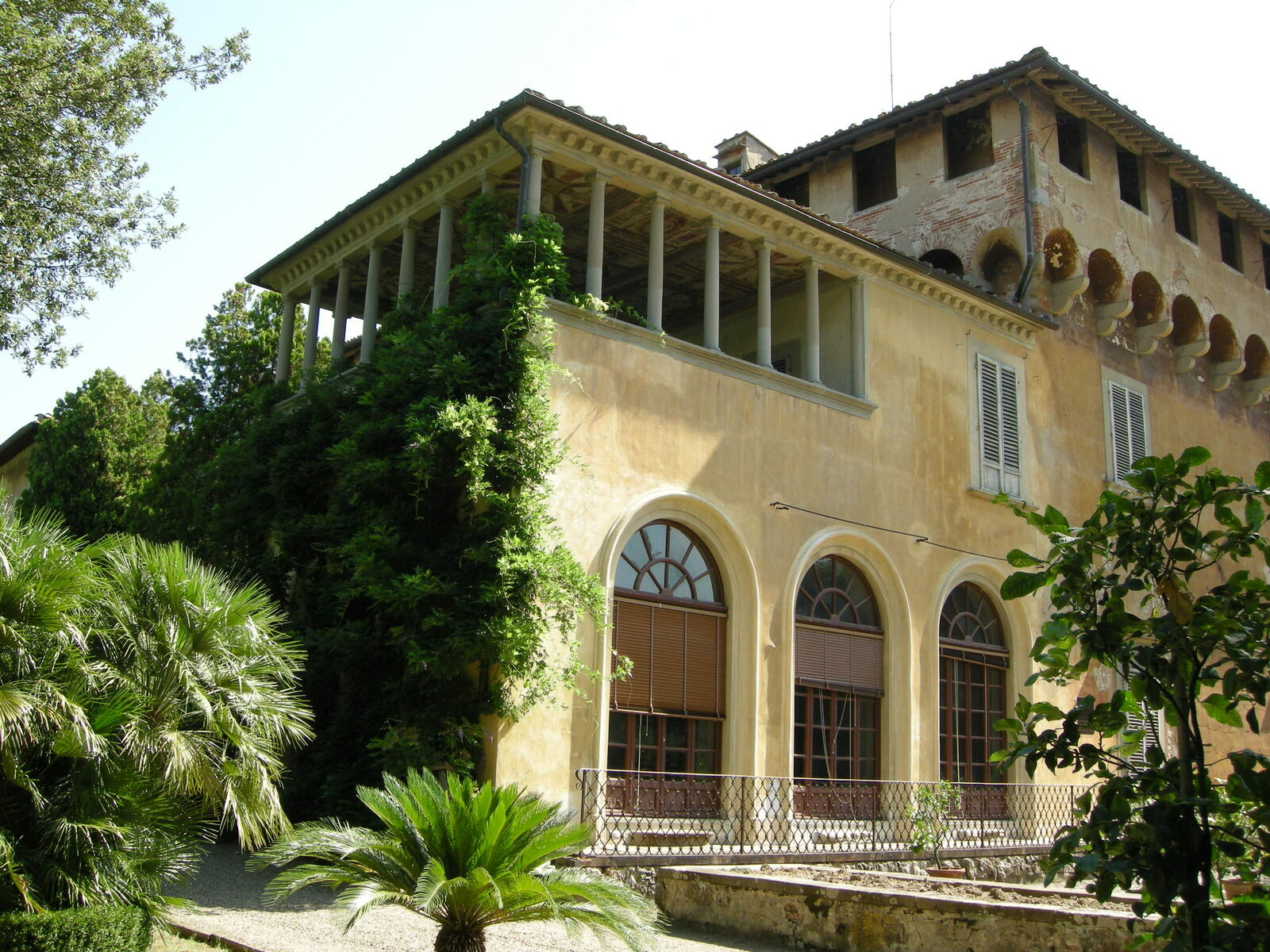 6