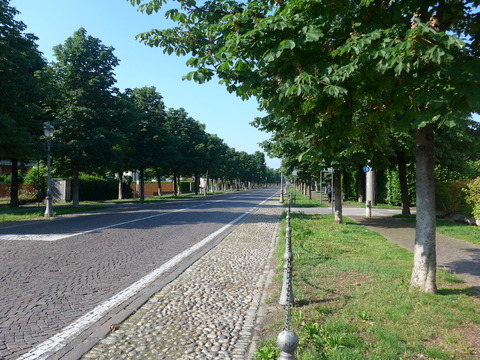P2020473