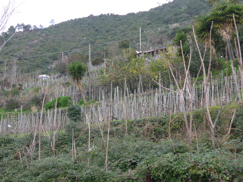 P1870048