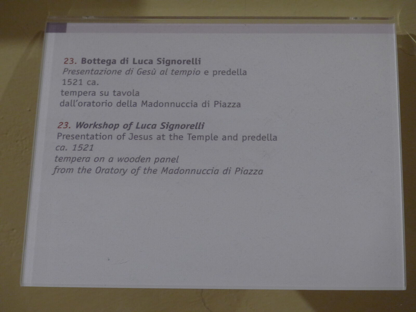 23