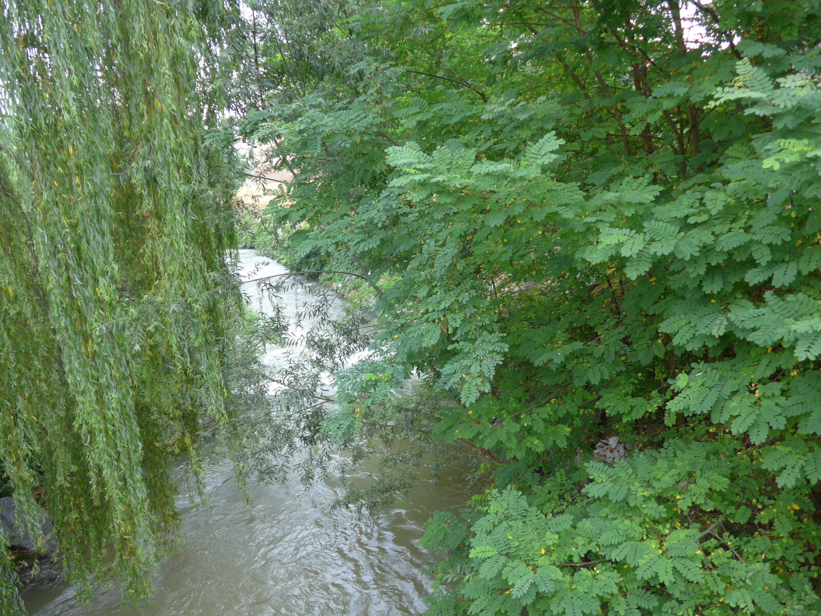 P1280260