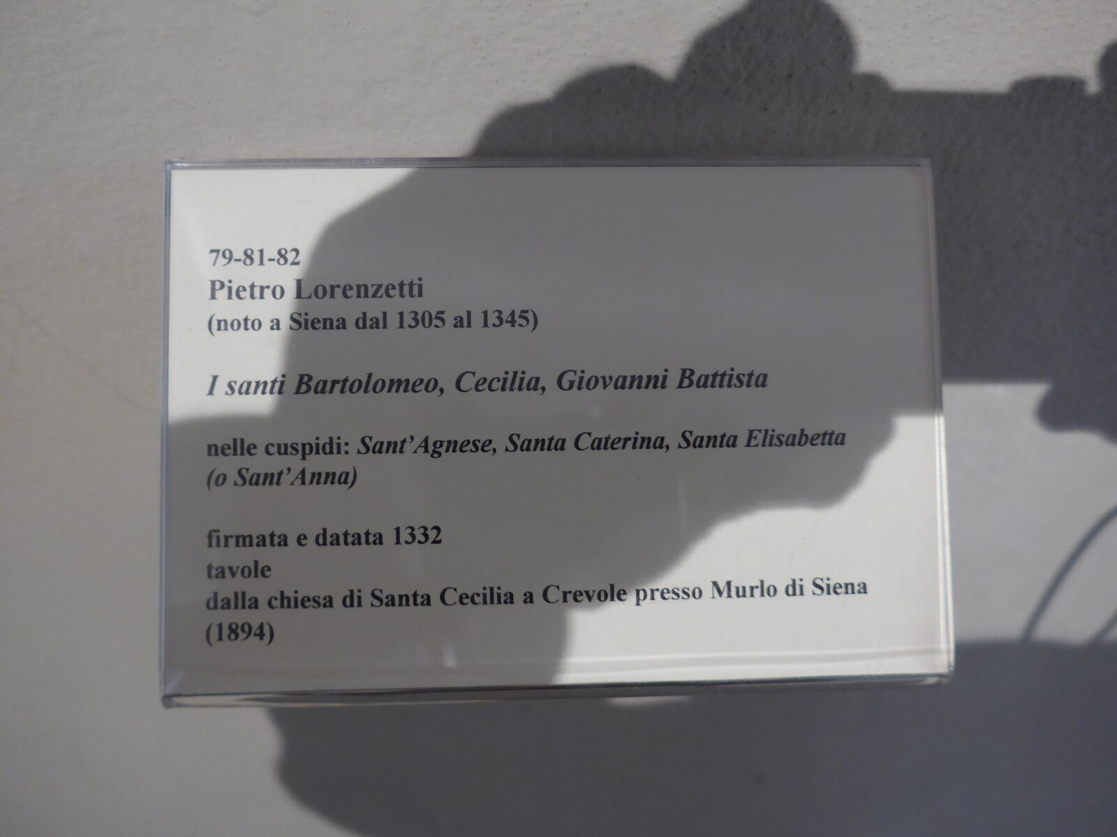 P1040506