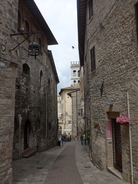 P1690768