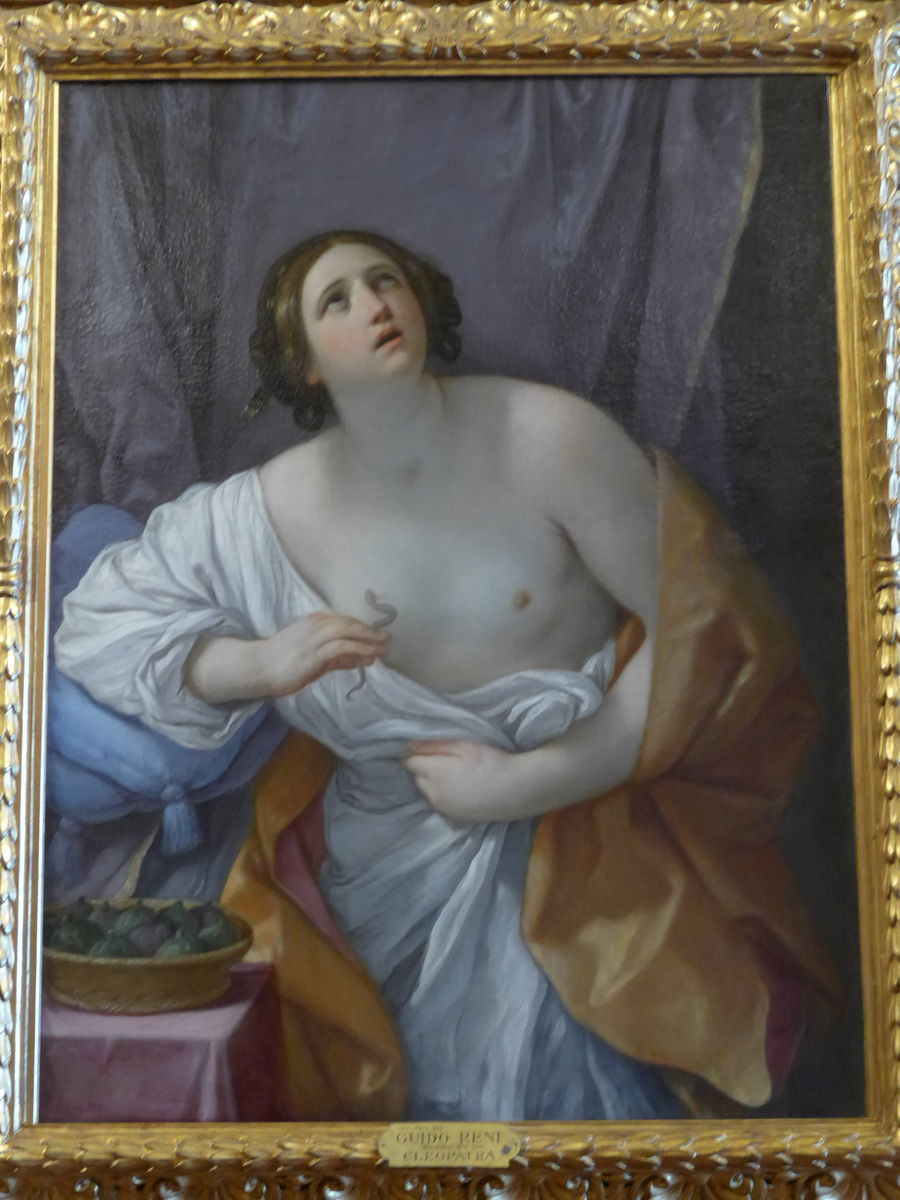 P2590860