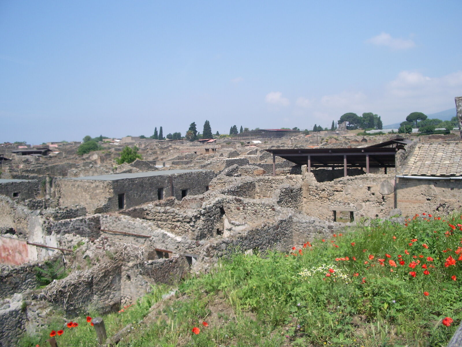 1520