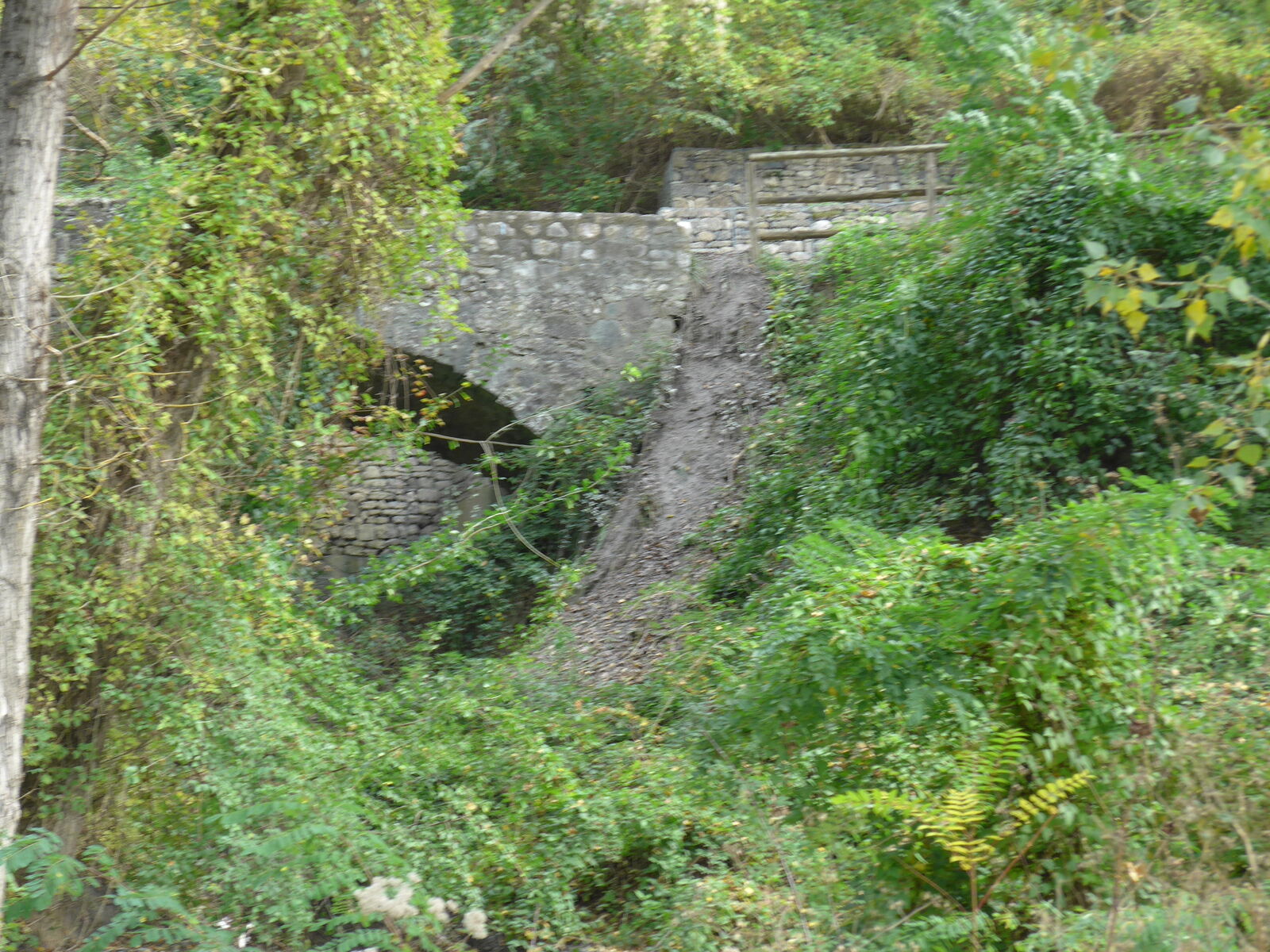 P1490211
