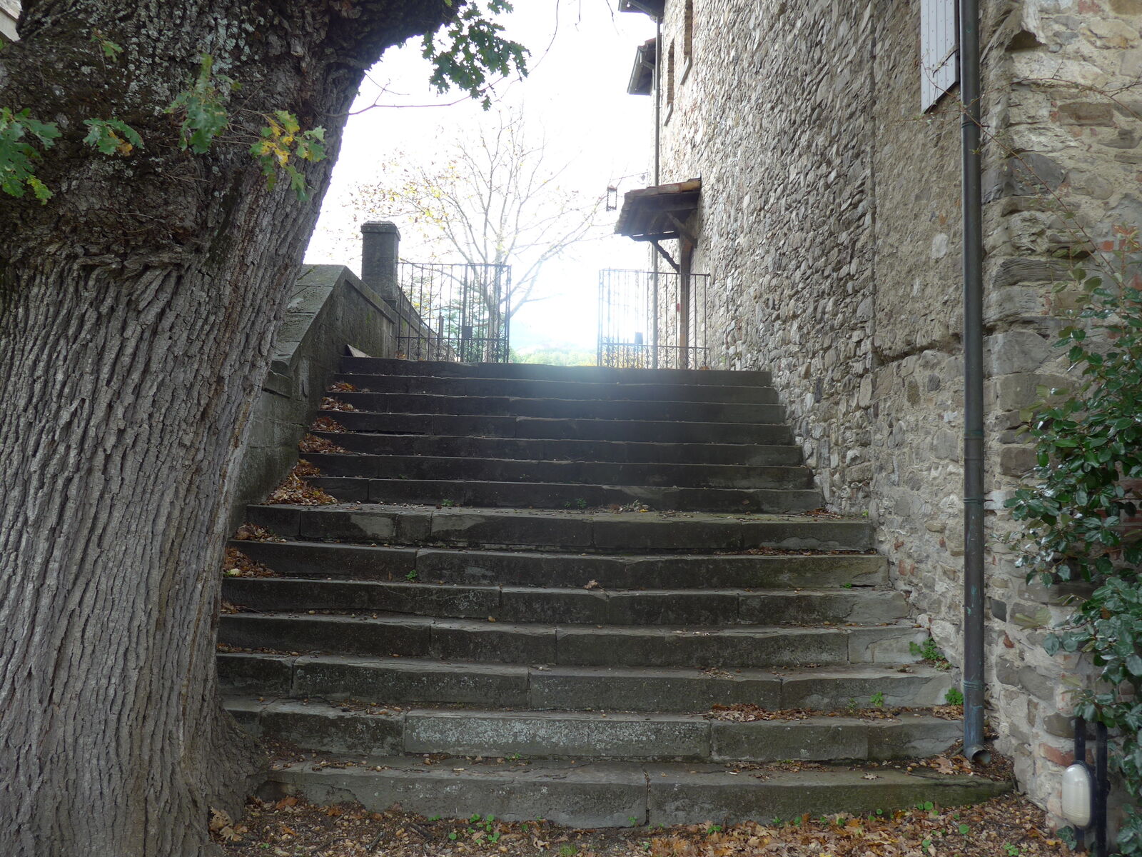 P1490015